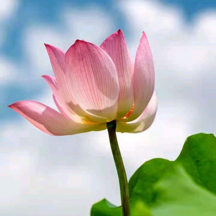 开心(童装分享）🌹🌹🌹