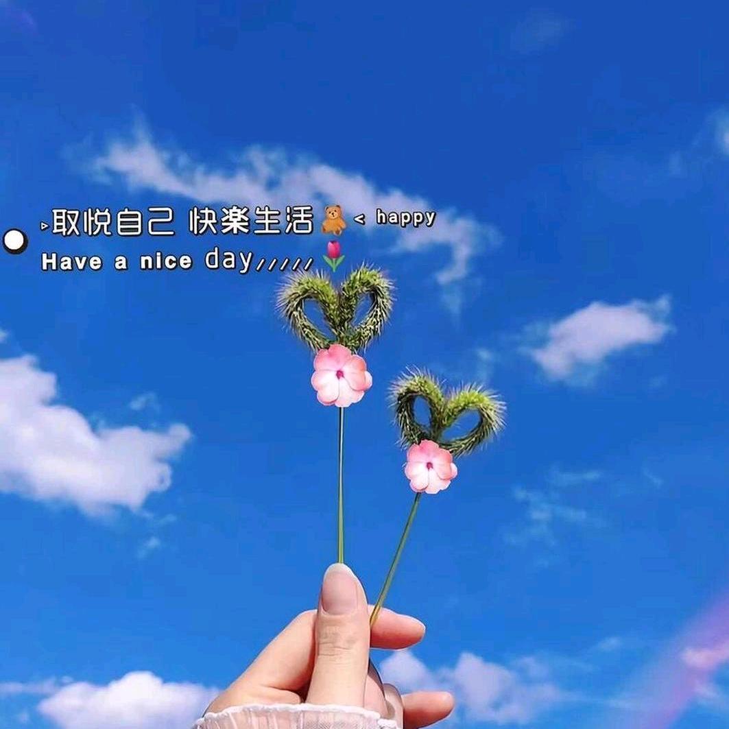 物是人非