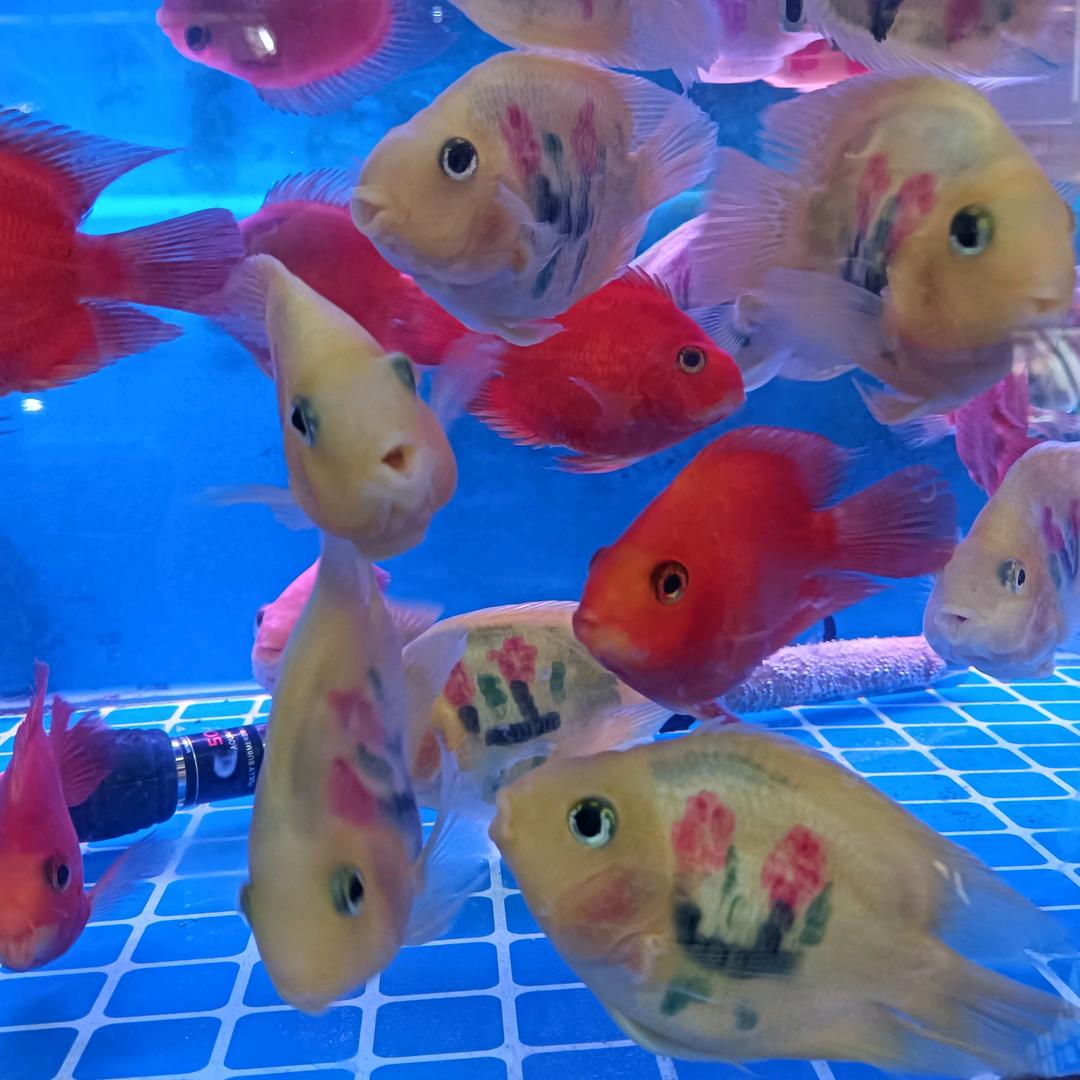 只有把名字起的长一点，才会有傻子跟着念