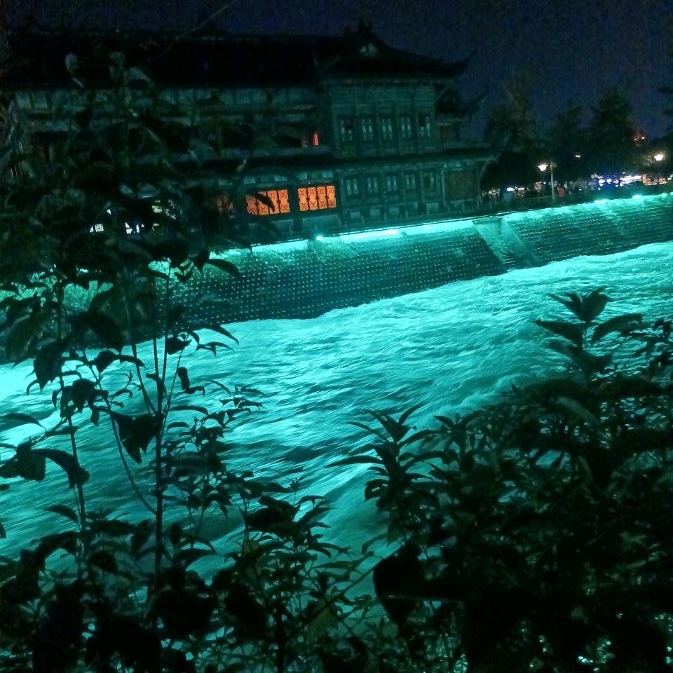一群羊