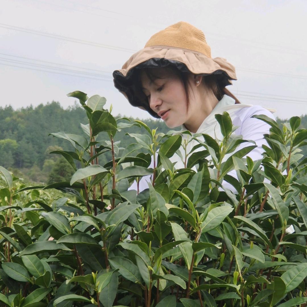 会计小白（王姐姐）