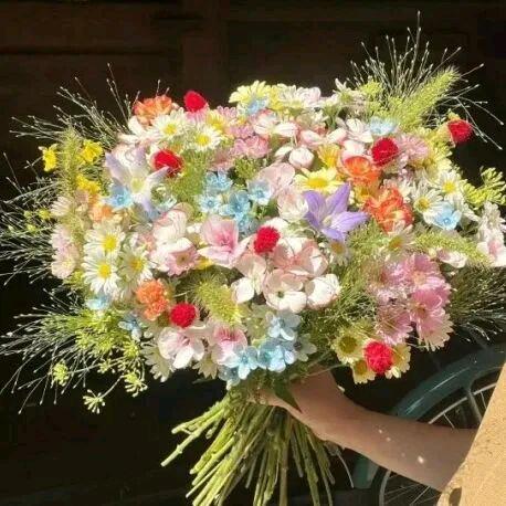 梁山伯与忽必烈