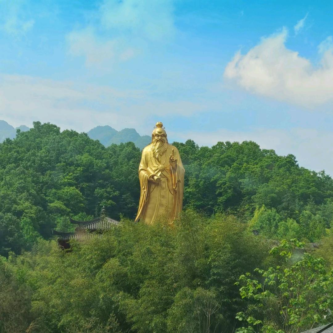 白胡子大佬