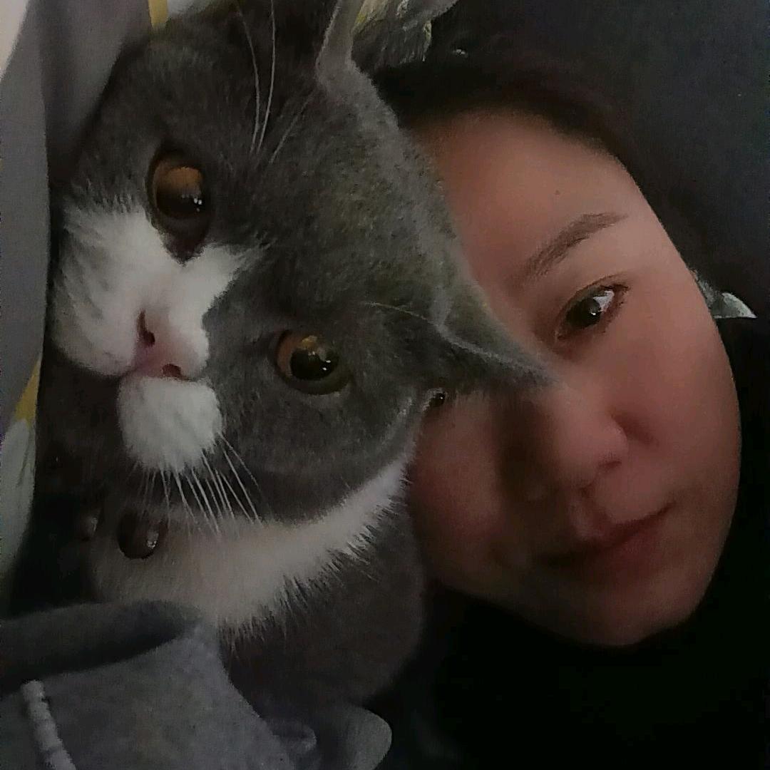 我爱猫小丑