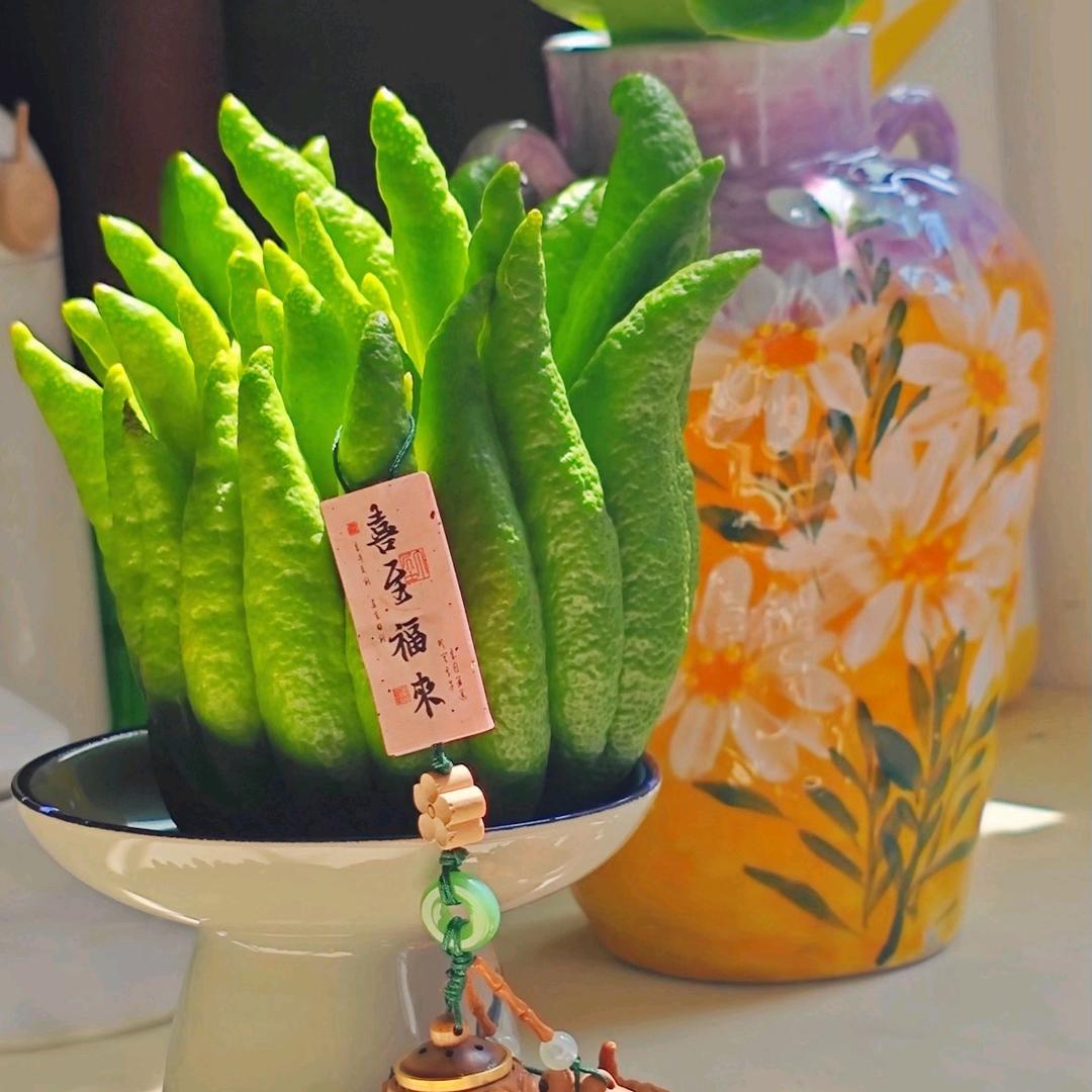 蜀景苑川佛手基地