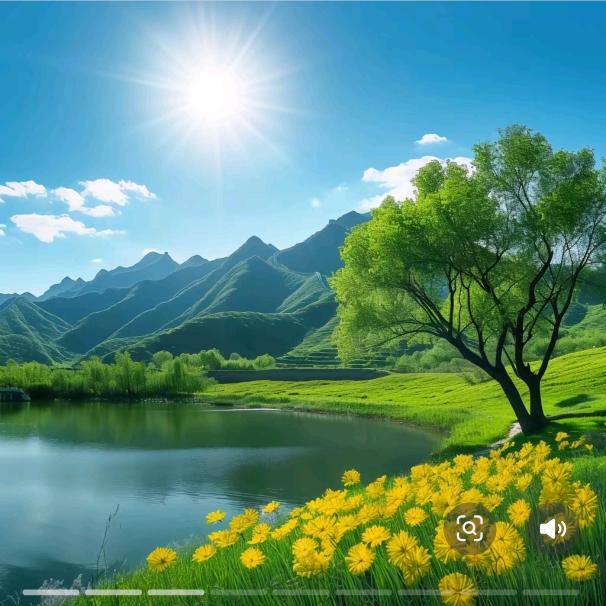 不发脾气🌺只发财