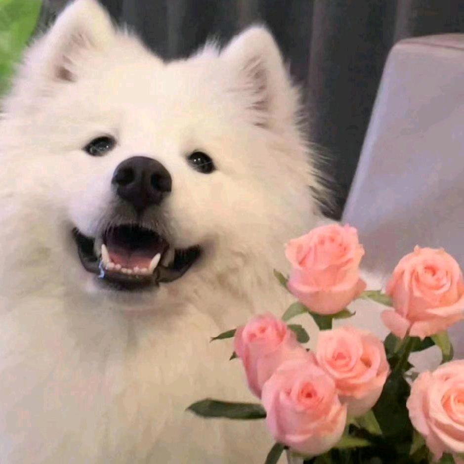 Lucky.叠个叠.🌠