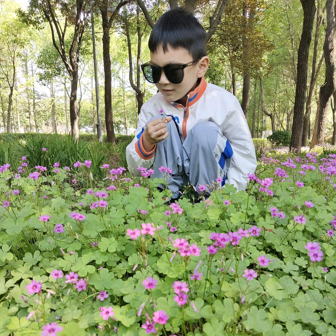 👑花开正艳时