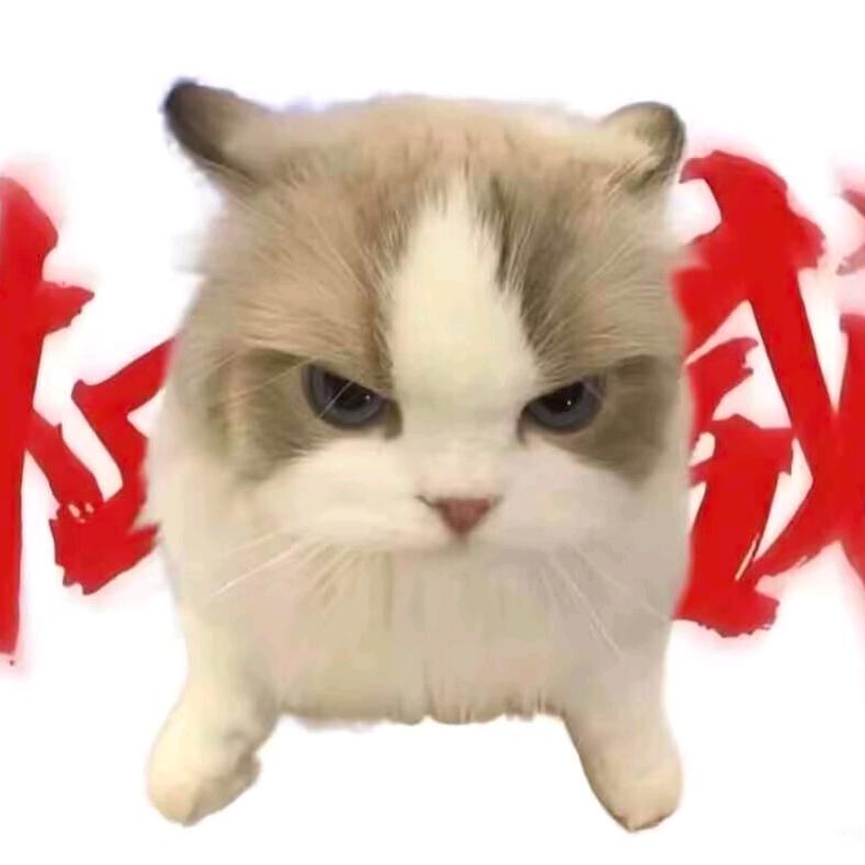 全世界我最有钱