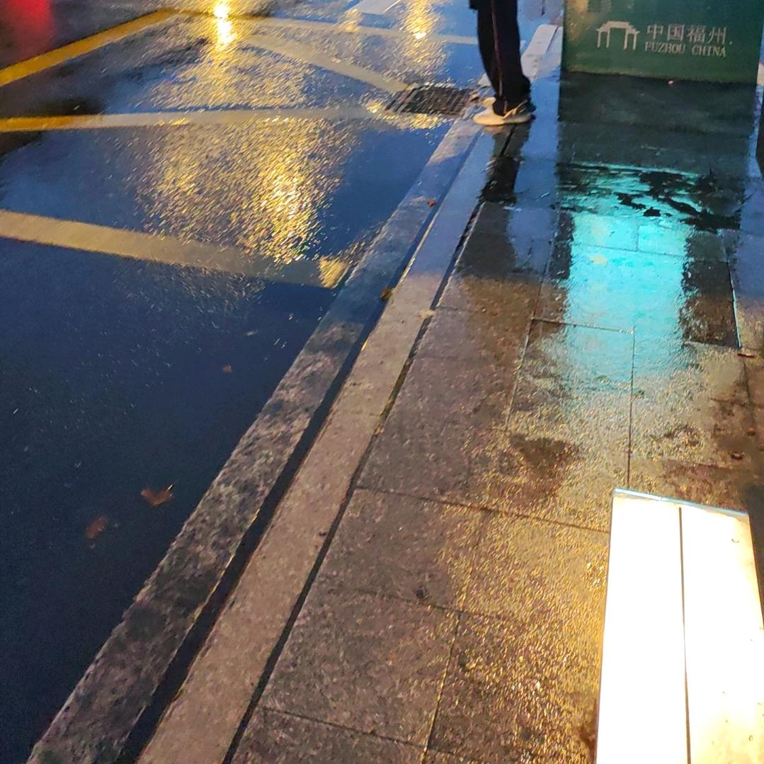 乐乐酱