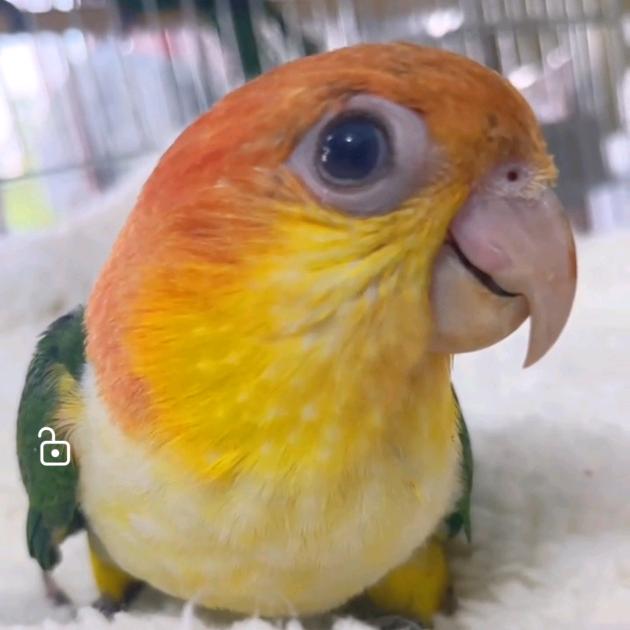 我叫唐光明