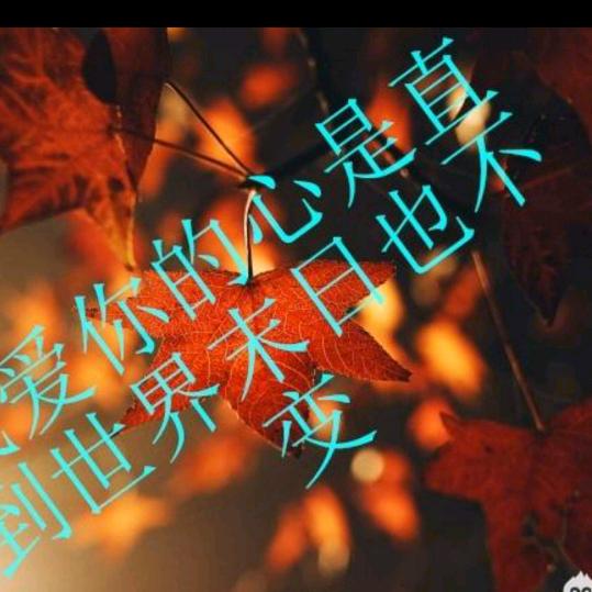 幸福美满