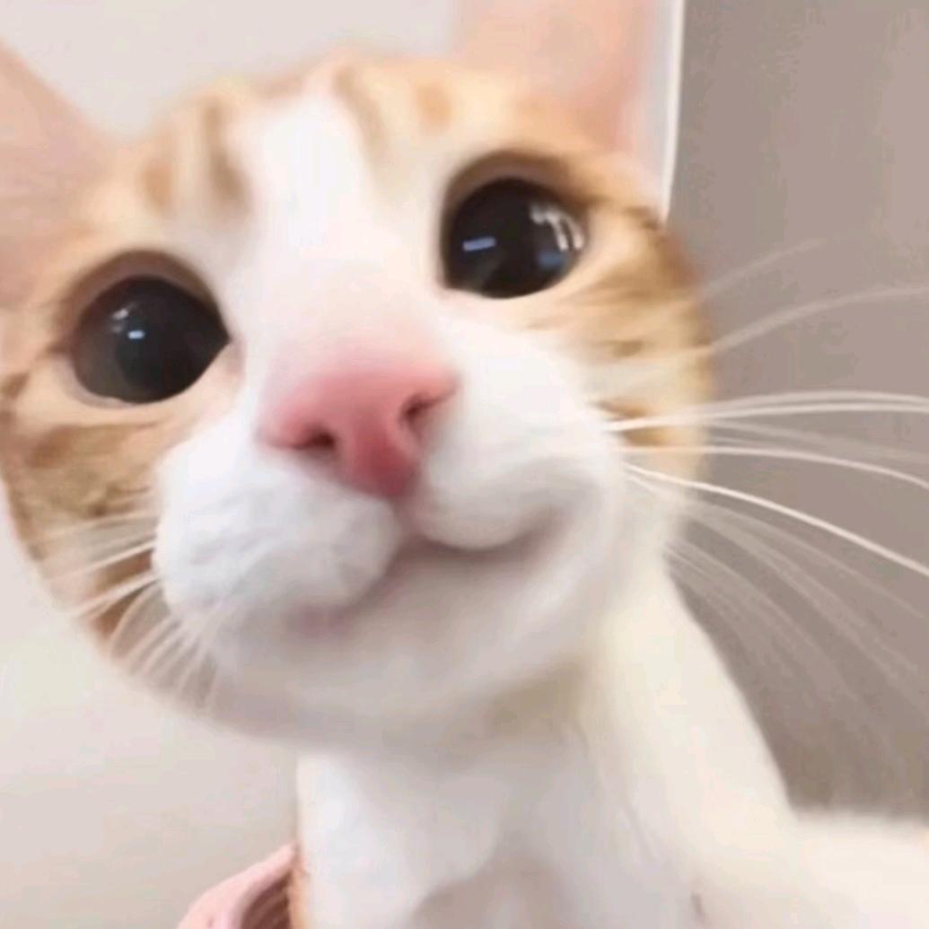 今天没喝冰美式