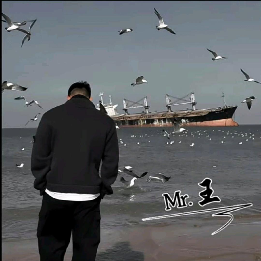 Mr. 王