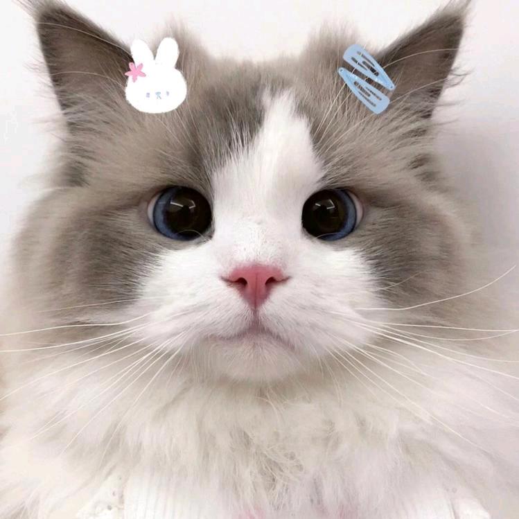 是啵啵'ㅅ'