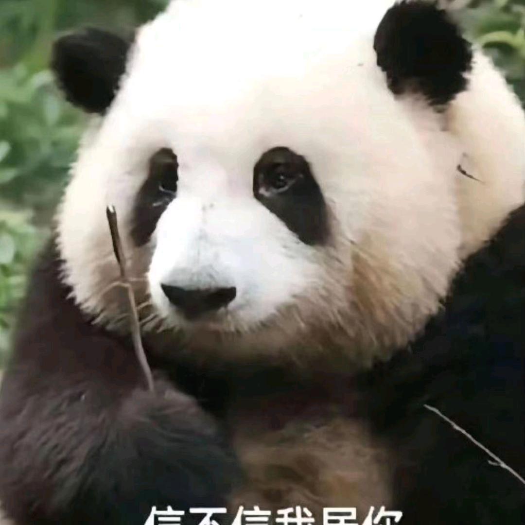 宫老师学日语