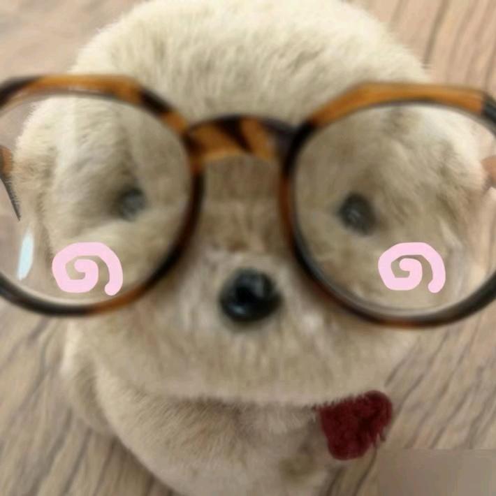 重生之我是黄毛