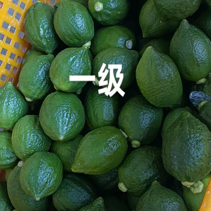 开开心心每一天