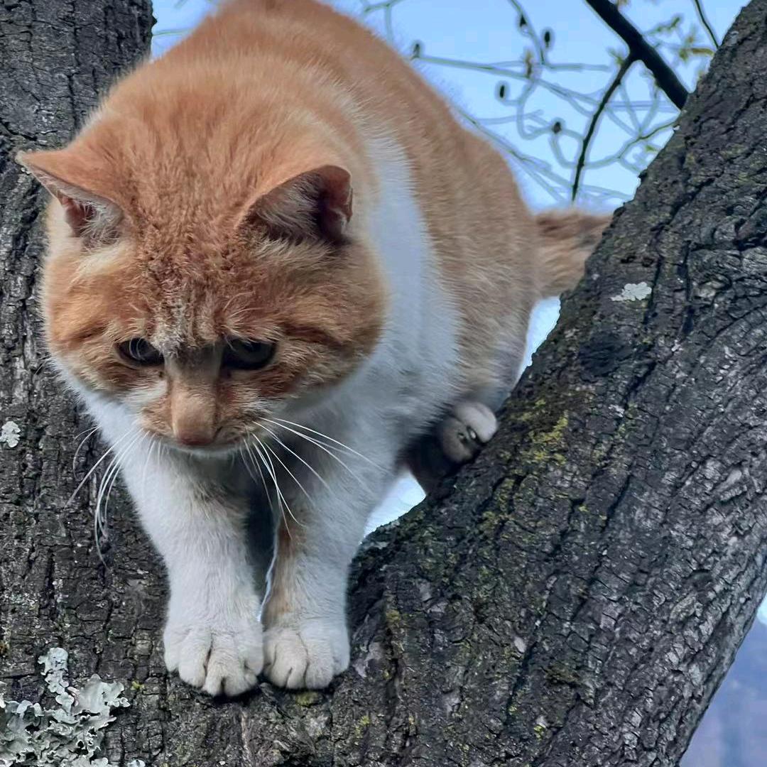 开❤️快乐✌️