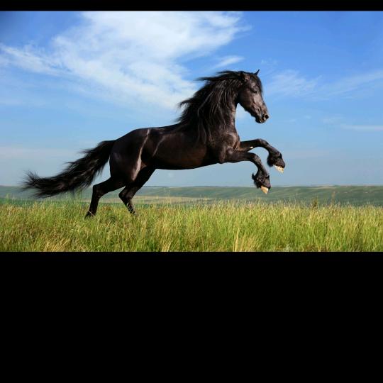 民工🐎哥