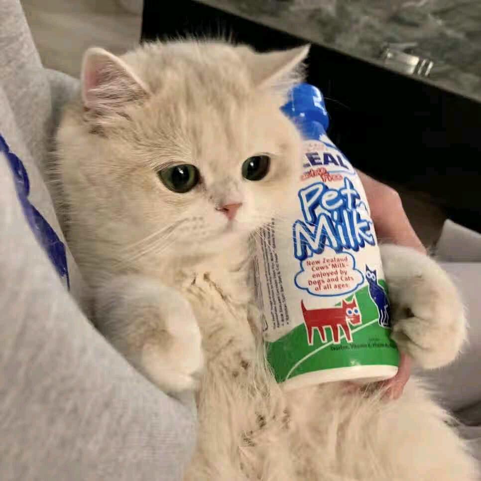 糖果🍬🍬🍬