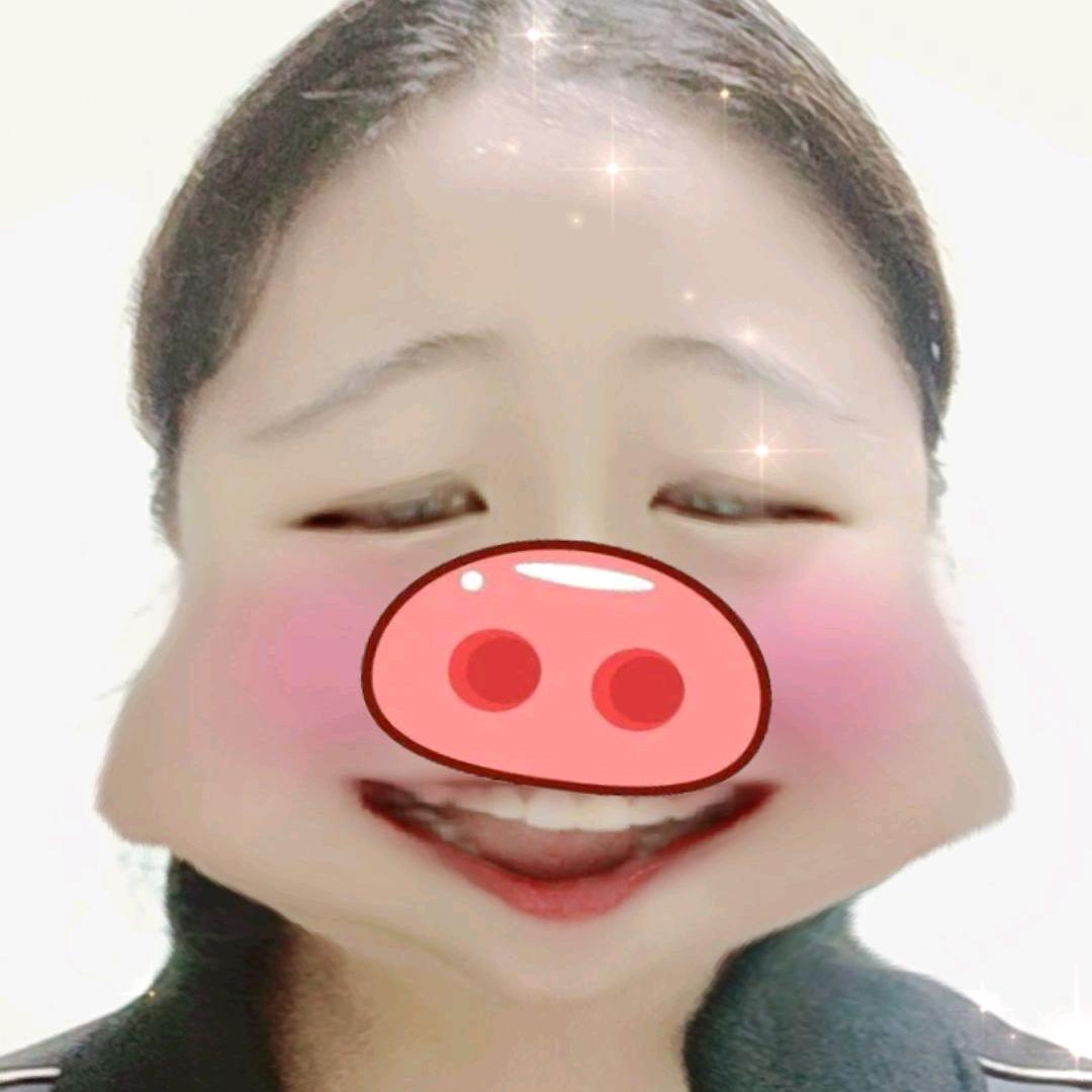 胖胖猪减肥日记
