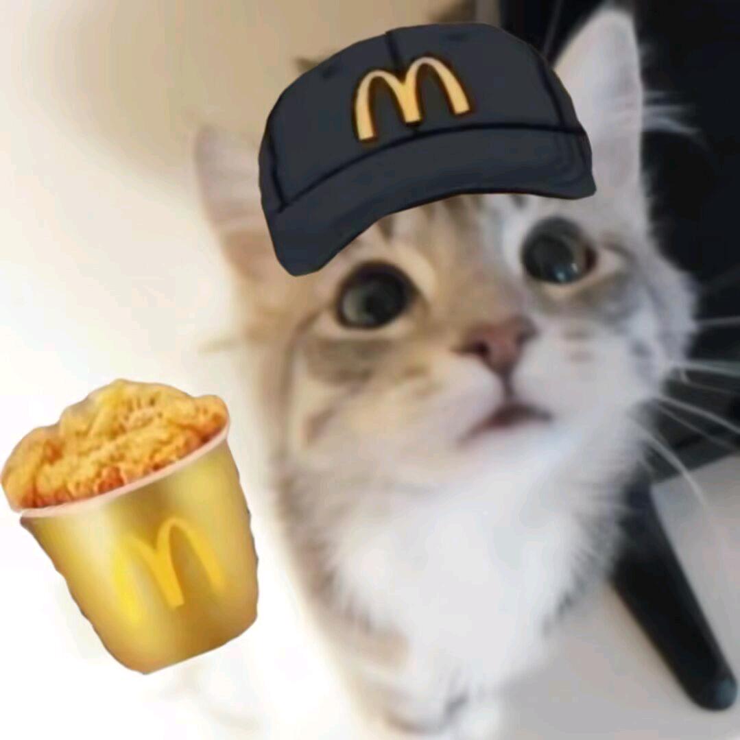 五月花=^_^=