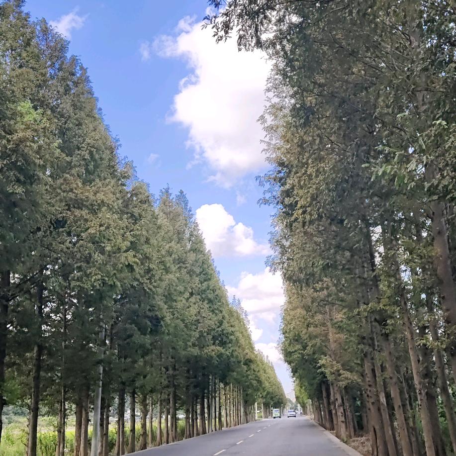 日落