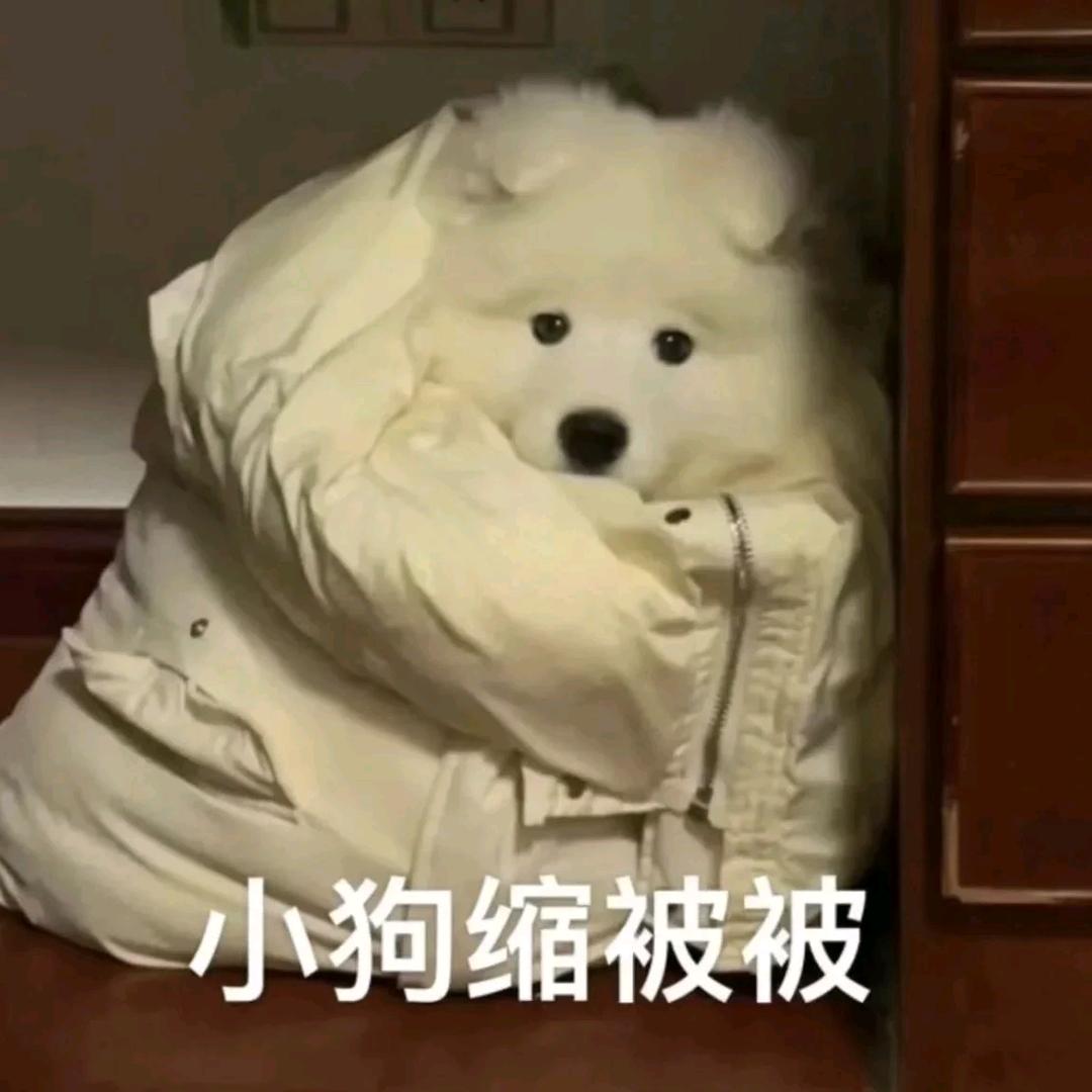 鱼耶耶