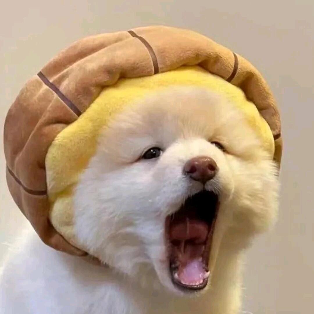小石榴