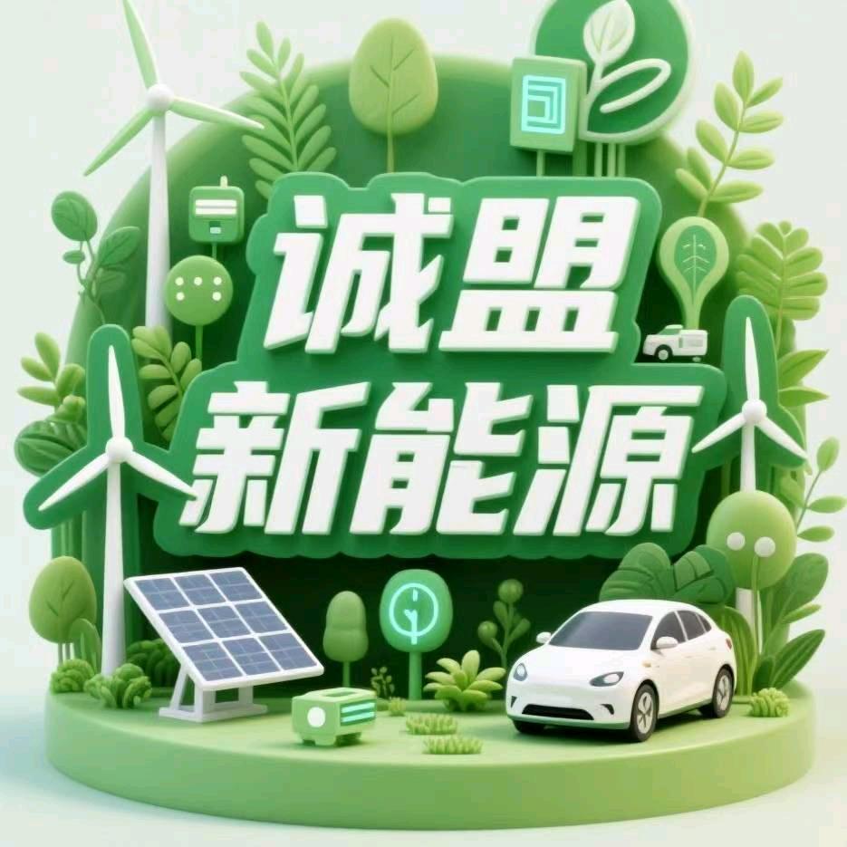 深圳*诚盟车队