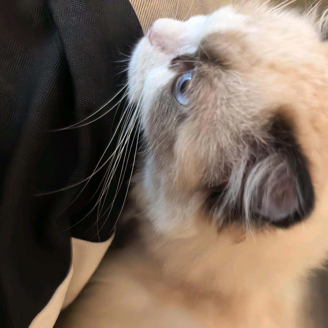 阳光boy