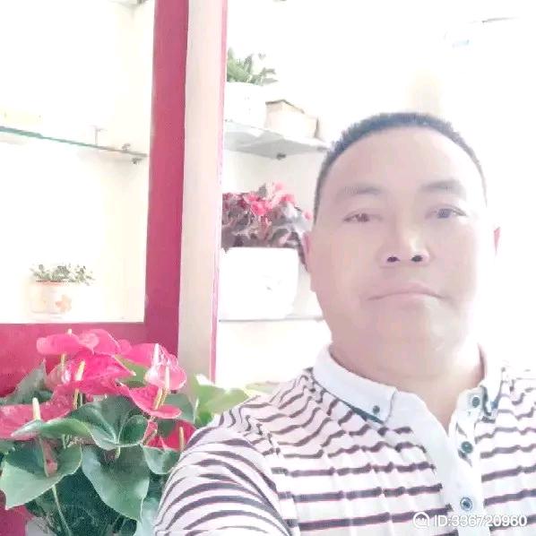 王兴伦