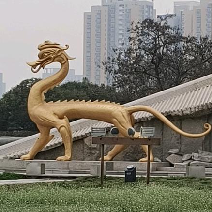 湖边松林