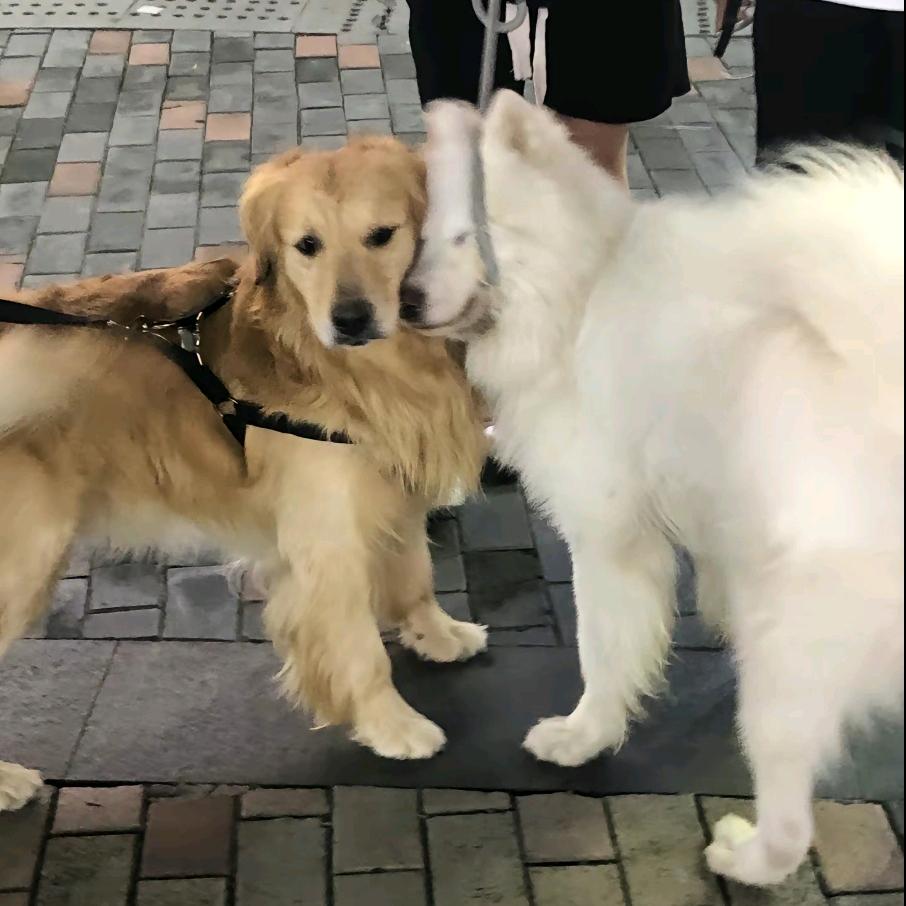 一