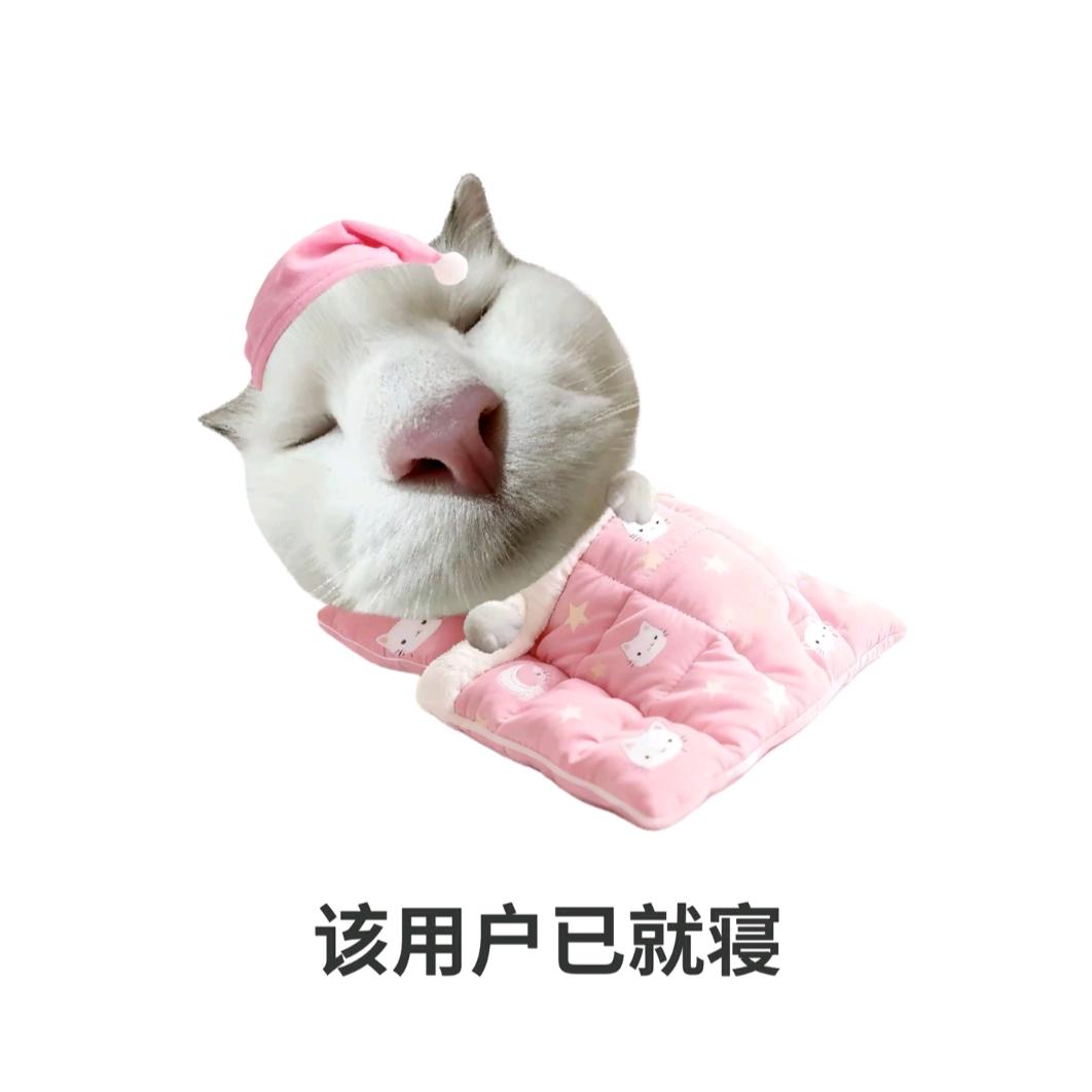 陪七岁岁年