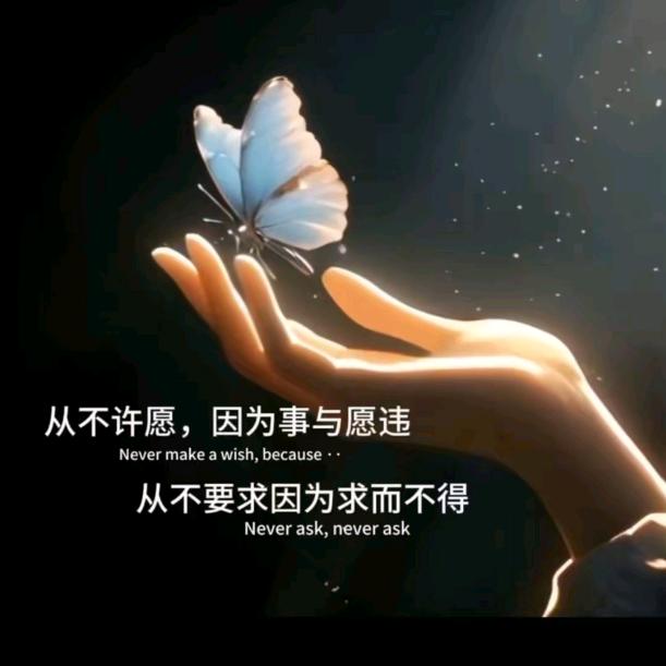 ꧁💞᪲七秒ღ᭄的记忆꧂