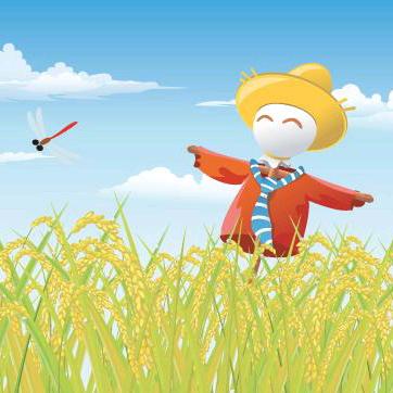 麦田追风筝