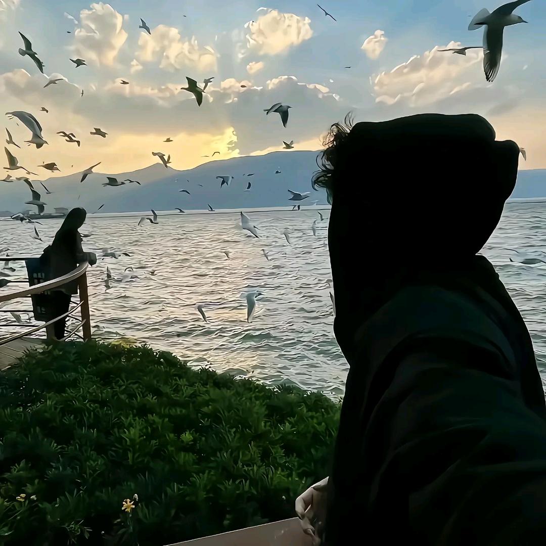 梦泽