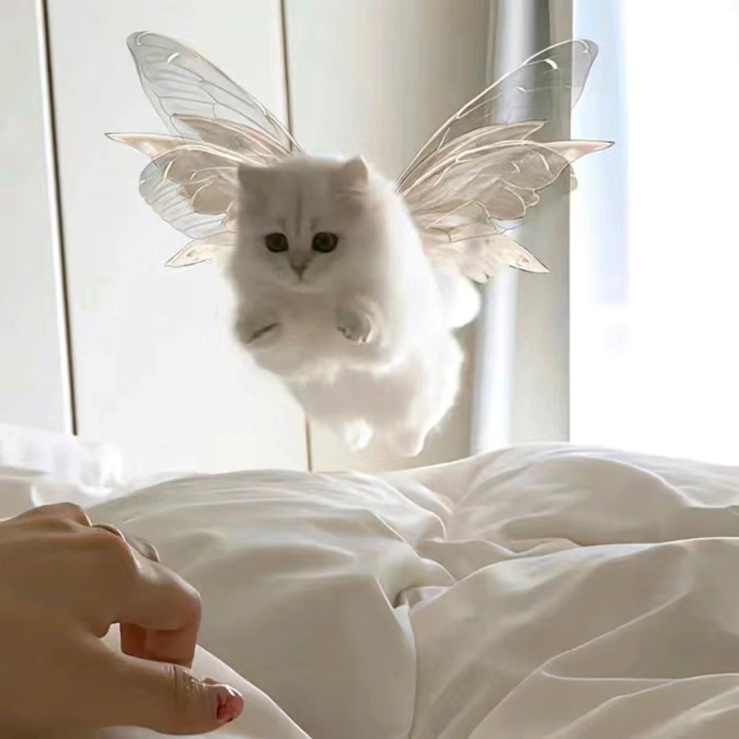月半卡卡