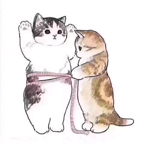 迷途233