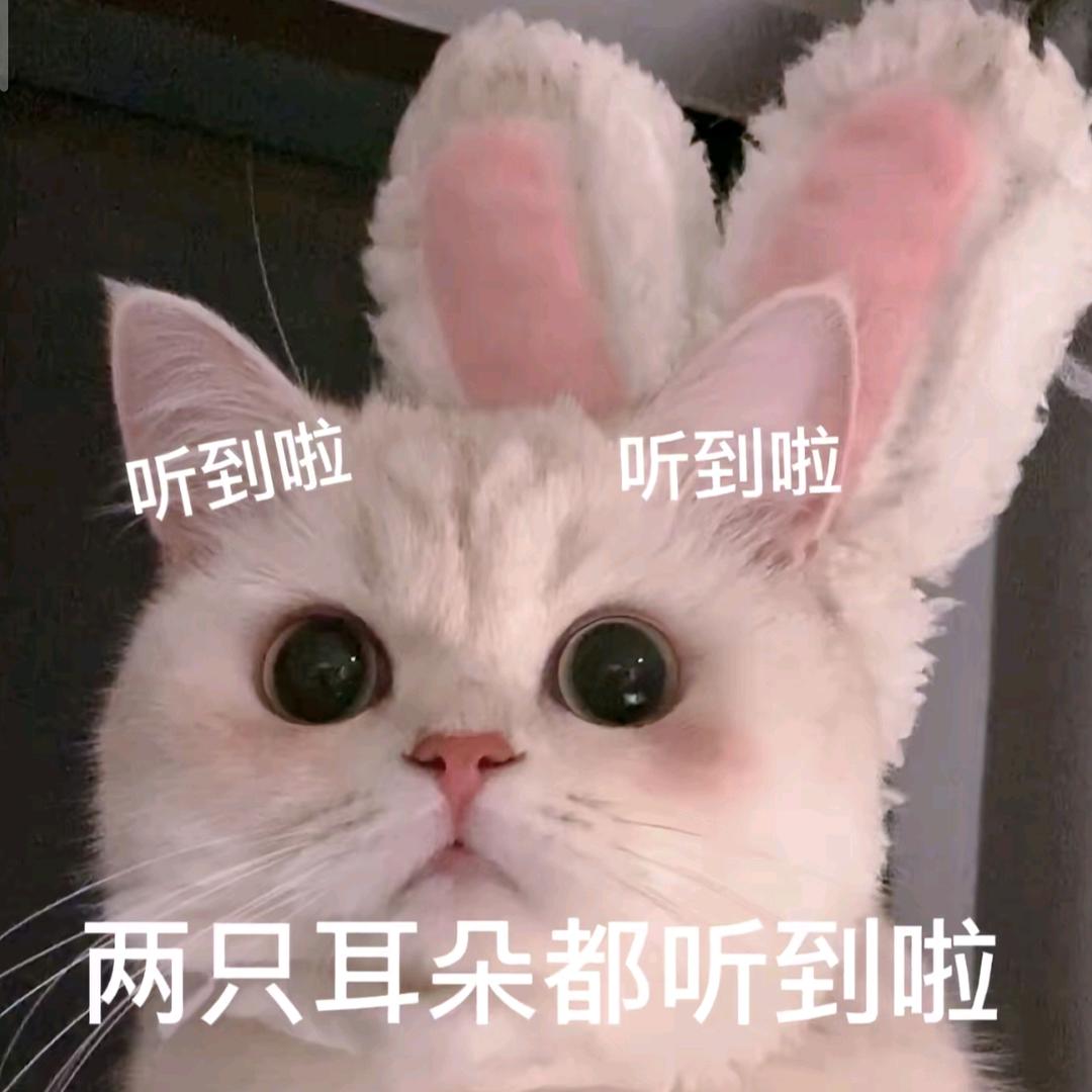 再等冬天（见过一诺清融版）