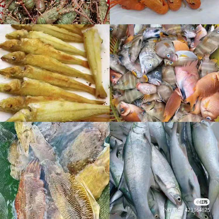 🐟海鲜🦐直销