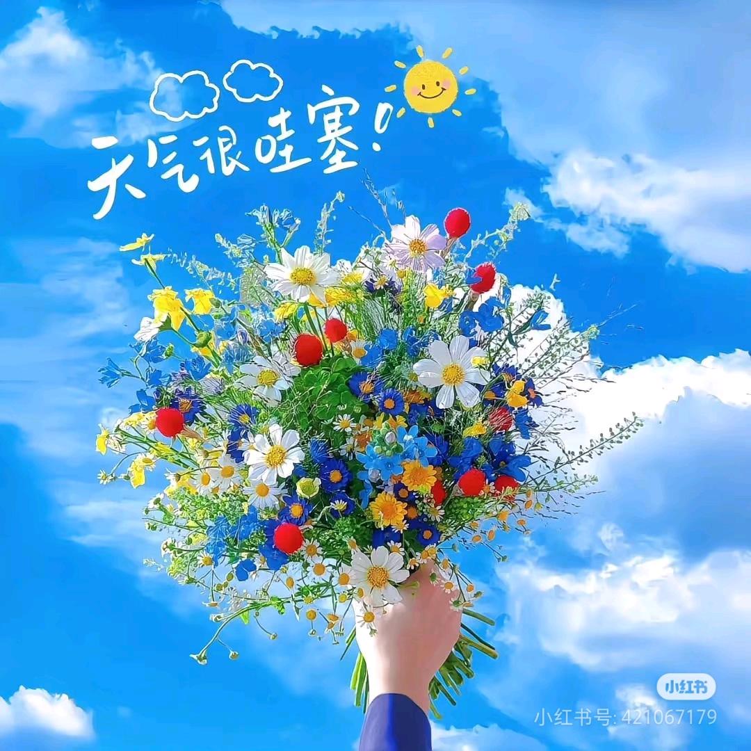 哎呦喂~