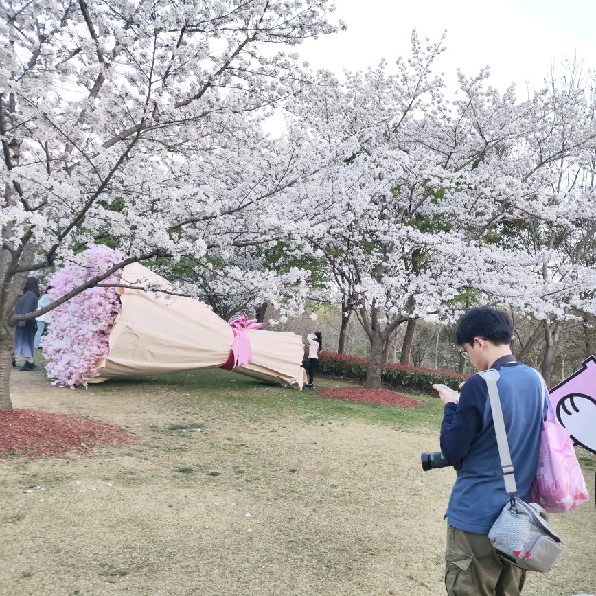 青浦票务小助手