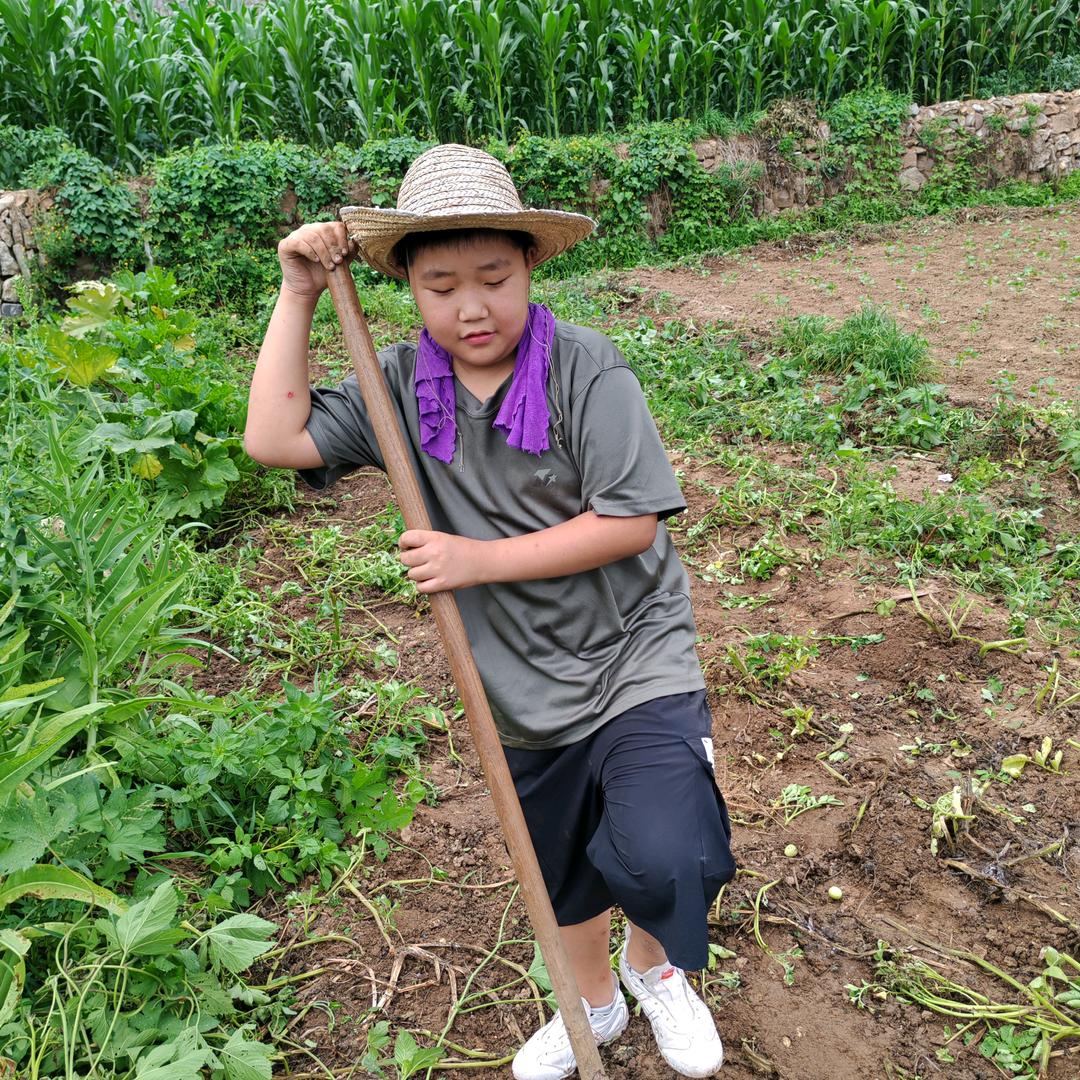 山里人家