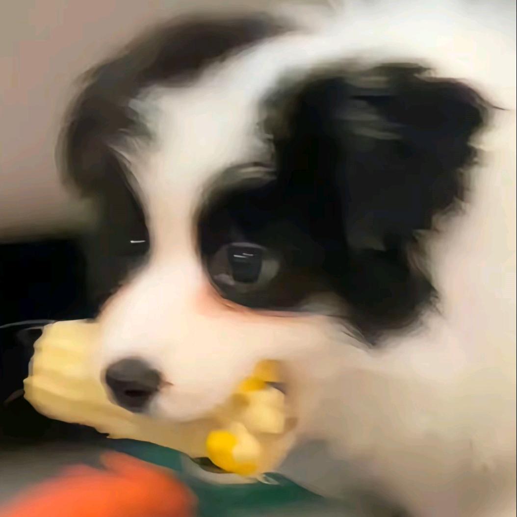 小九ღღ•̥̑ .̮ •̥̑).:*･ﾟ