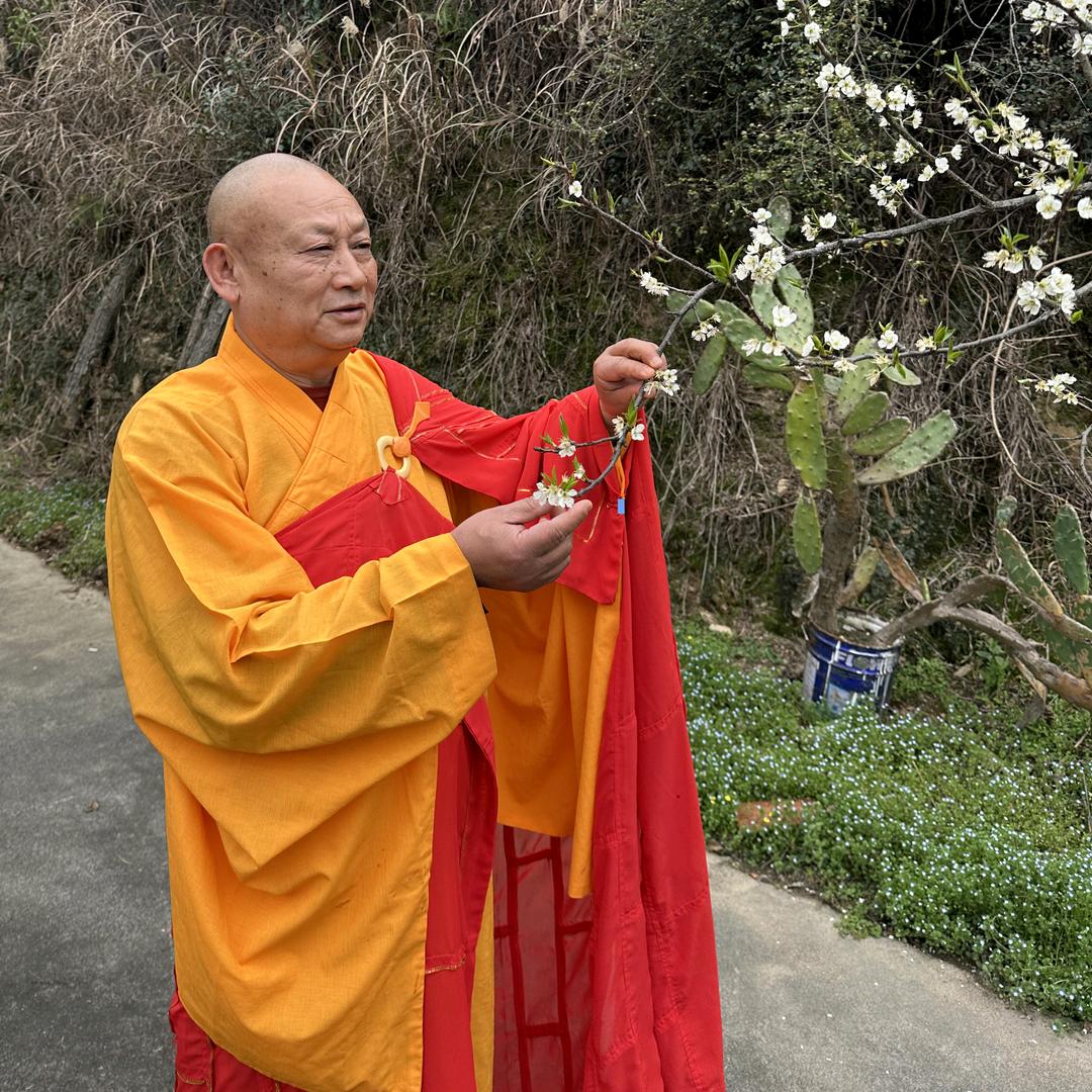 师徒行（朝圣之路）
