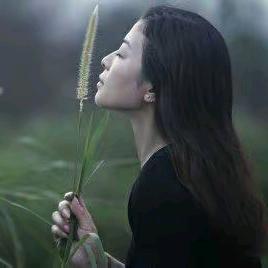 ～听风碎碎念～