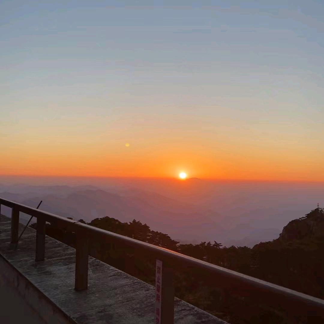 寿县李